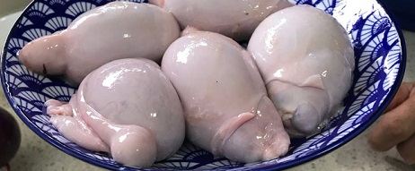 کباب دنبلان (بیضه) گوسفند