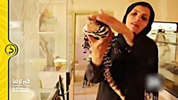 ملکه مارها در یزد