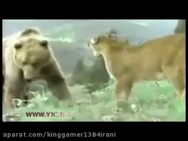 حیات وحش یا راز بقا ترسناک+18