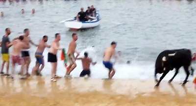 Angry cow's terrible attack on swimmers