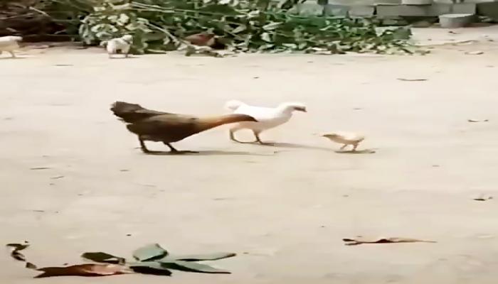 Don’t see the chili pepper