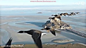 Man could fly like birds