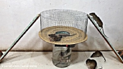 Mouse Trap - Easy Mouse Trap