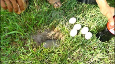 Strange fish fishing from the dry ground