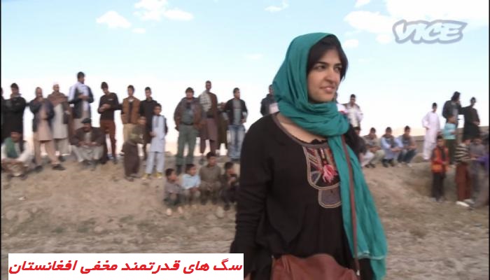 Powerful Afghan secret dogs