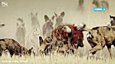 قدرت موروثی نیست , باید با چنگ و دندان به دست بیاری