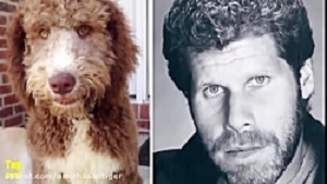 An animal joke with celebrities