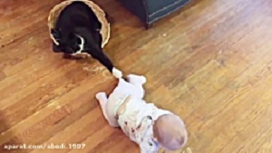 بازی بچه نی نی با گربه