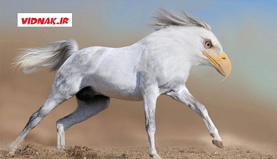 حیوانات‌ عجیب