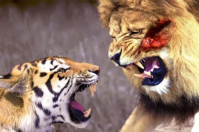 مستند حملات سریع حیوانات مرگبار