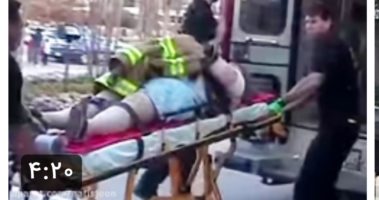 حمله حیوانات به انسان ها