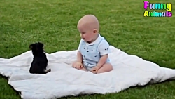 Funny animal attack on humans