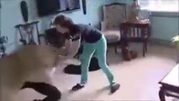 Terrible and surprise animal attack on humans