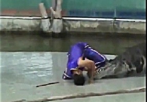 Terrible animal attack on humans