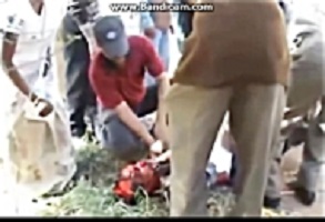 The worst incidents of wild animal attack on humans