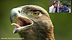 تصاویر سوپر اسلوموشن از پرندگان