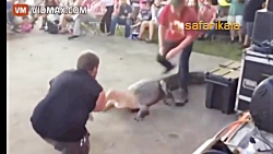 Animal Attack on Human +18