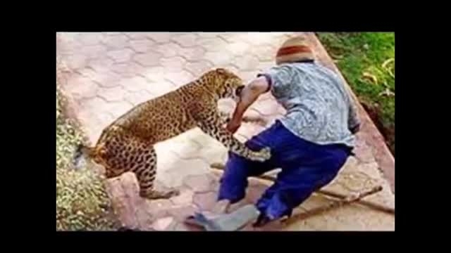 حمله حیوانات به انسان +18