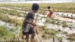 حمله حیوانات به انسان / فیلیمو ببین