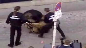 حمله شیر به انسان (وحشتناک +18)