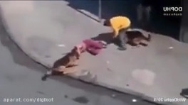 فیلم 10 صحنه از خطرناک ترین حمله حیوانات به انسان ها 10 scenes of the most dangerous animal attack on humans