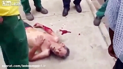 فیلم حمله حیوانات وحشی به انسان