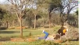 فیلم های حمله خیلی خفن حیوانات به انسان