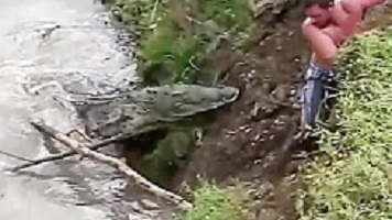 مجموعه ای دیدنی از حمله حیوانات به انسان