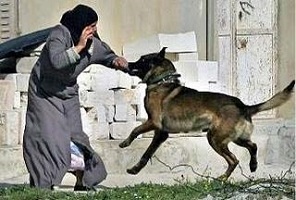 وقتی حیوانات به انسان حمله میکنن