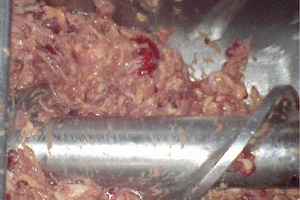 تولید سوسیس با لاشه فاسد حیوانات مرده