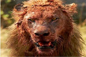 حمله ترسناک و شکار حیوانات وحشی و درنده +18