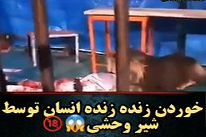خورده شدن انسان توسط شیر +18