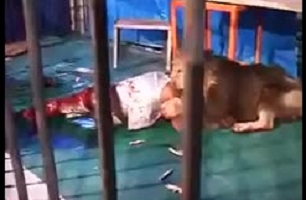 خورده شدن نیمی از بدن انسان توسط شیر(دل نداری نبین)