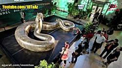 Ten unique animals that became extinct