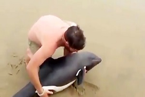 نجات بچه نهنگ قاتل