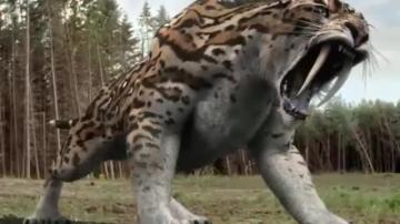 کودکانی که توسط حیوانات وحشی بزرگ شدند حتما ببینید +18