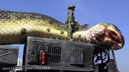 بزرگترین مار جهان