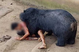 حمله ناگهانی حیوانات به انسان