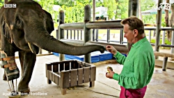 خوشحالی یک فیل از پای مصنوعیش