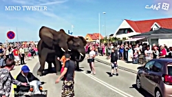 وقتی غول های بزرگ عصبانی بشوند