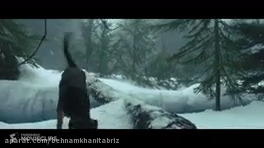 سرگرمی حیوانات