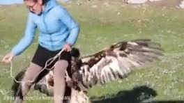 شکار های عقاب