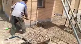 حمله ملخ ها و حمله حیوانات به شهرها