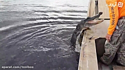 اینها چرا نمی ترسند؟!!! تمساح آدمخوار