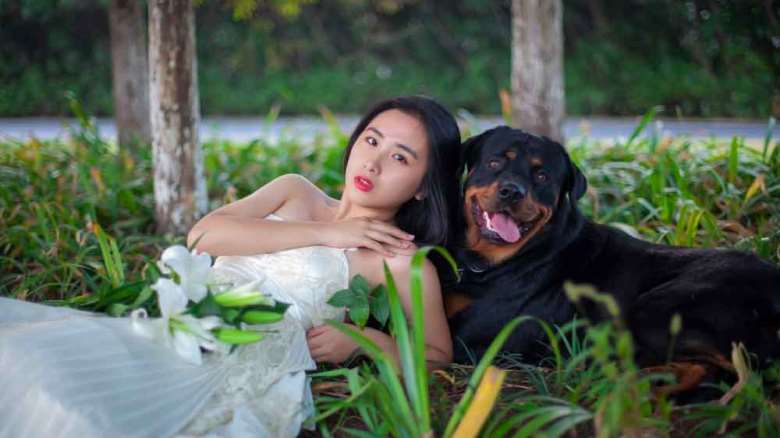 التزاوج بين الإنسان والحيوان altazawuj bayn al’iinsan walhaywan