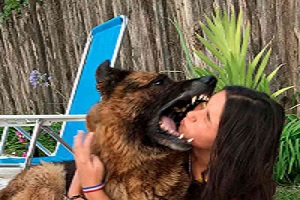 شوخی با حیوانات وحشی و خطرناک