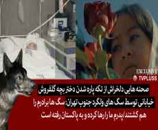 صحنه هایی دلخراش از تکه پاره شدن دختر بچه گلفروش خیابانی توسط سگ های ولگرد