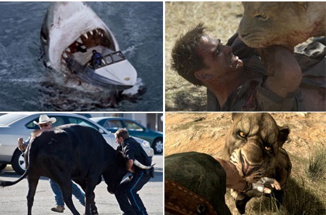 مجموعه کلیپ حمله حیوانات وحشی به خانه مردم