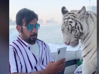 بازار 23 میلیارد دلاری قاچاق و فروش حیوانات وحشی در ایران هم رونق دارد