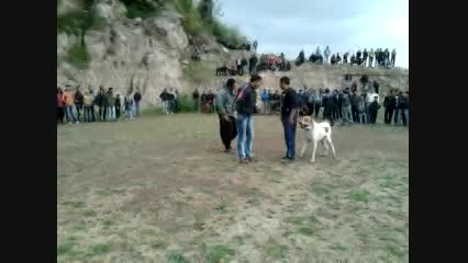 531168345-8506217672